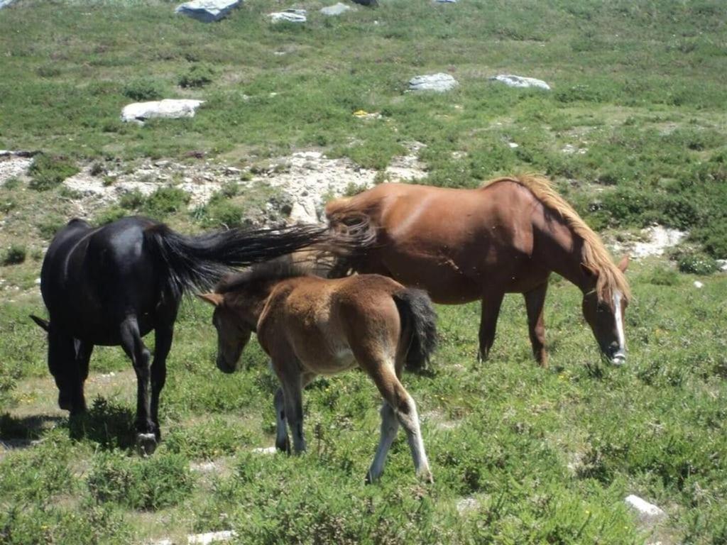 Barbudo Casa Rural Turistica Casa Nicolau 1 מראה חיצוני תמונה